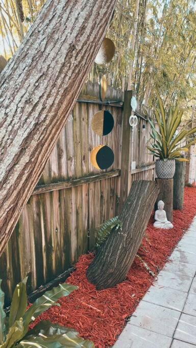 Peaceful Studio Clearwater Beach المظهر الخارجي الصورة